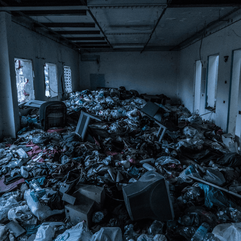 Syndrôme de Diogène